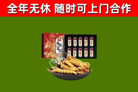 方城烟酒回收冬虫夏草礼盒.jpg